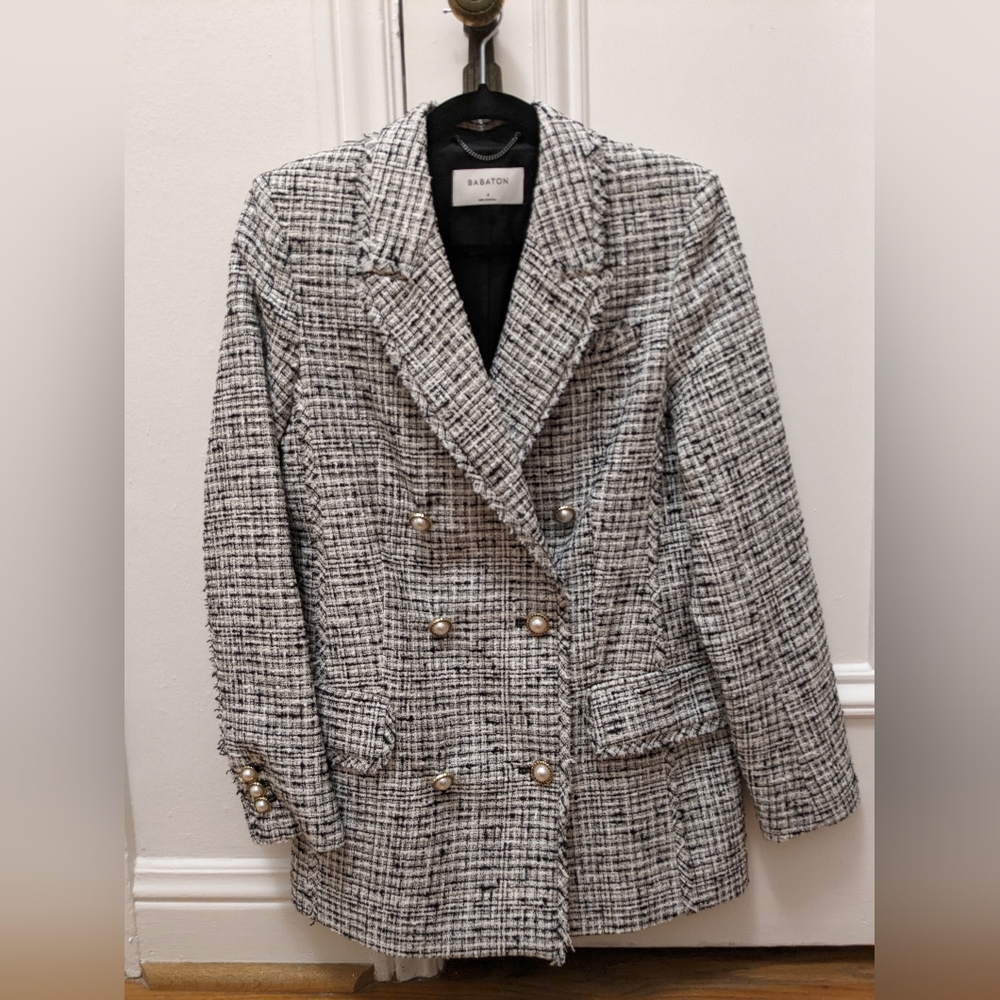 Aritzia Babaton Samuel Blazer